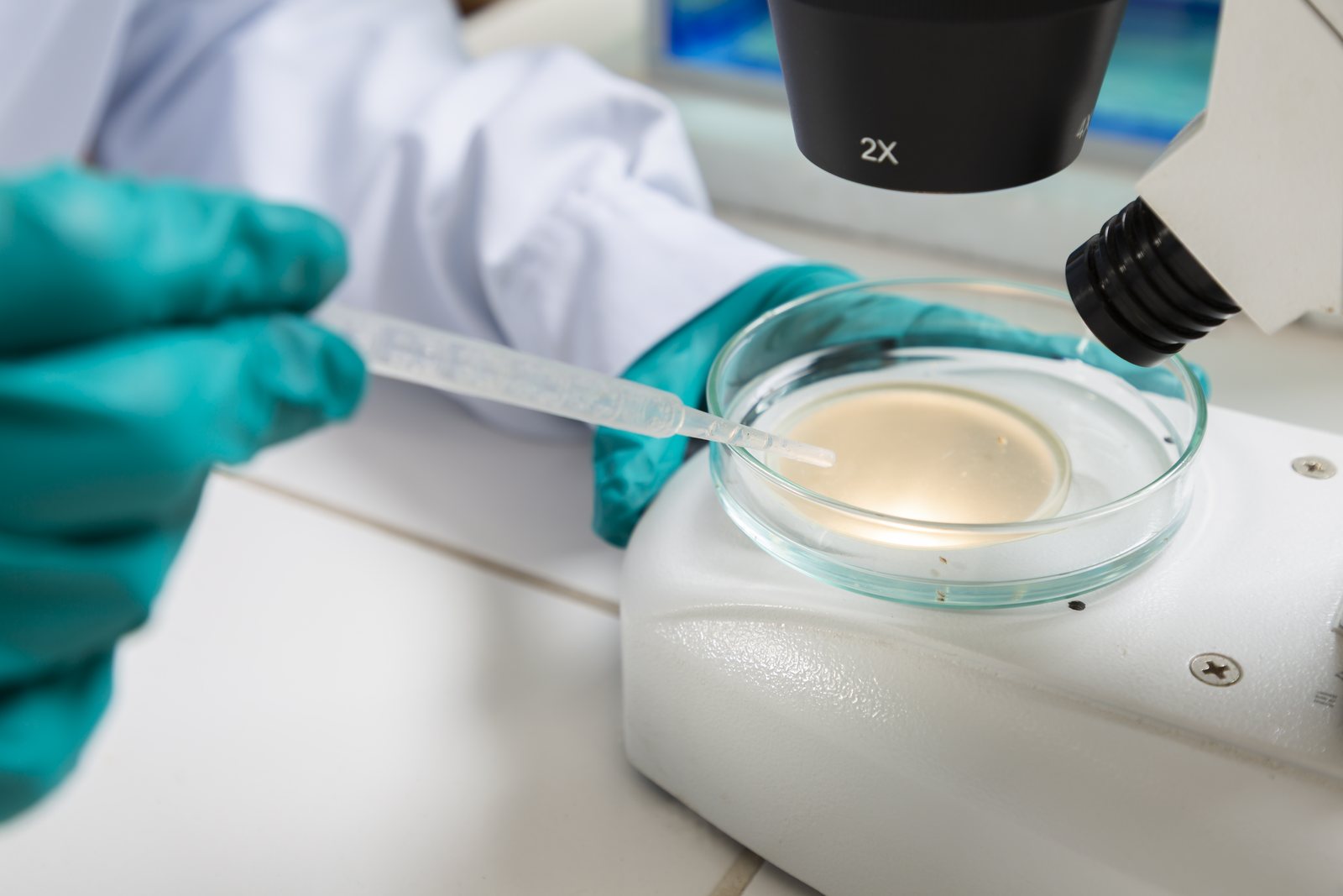 Análisis de metales en cabello: cuándo es útil y cuándo no · CETOX LAB
